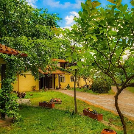 Villa Anthemia Naousa  المظهر الخارجي الصورة